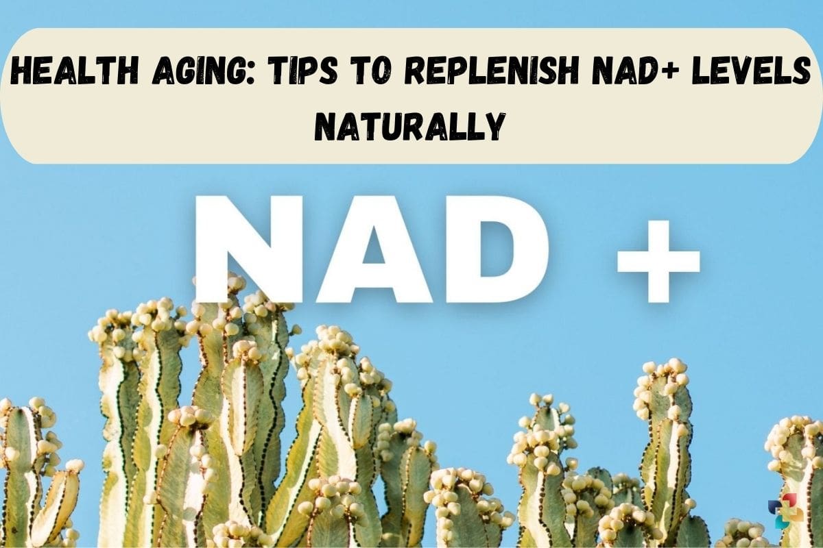 Health Aging: 5 Tips to Increase NAD+ Levels Naturally | The Lifesciences Magazine