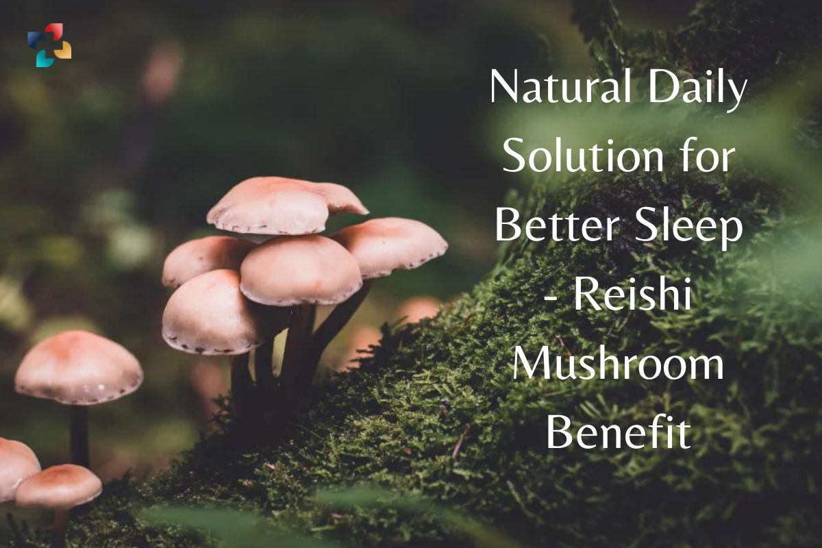 Benefits of Reishi Mushroom: 8 Natural Daily Solutions for Better Sleep | the Lifesciences Magazine