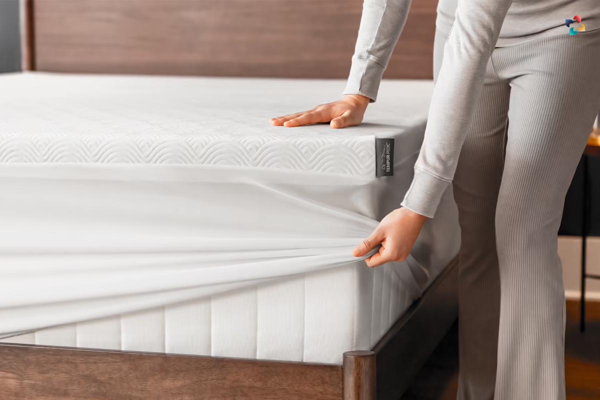5 Best Mattress Toppers for Back Pain | The Lifesciences Magazine