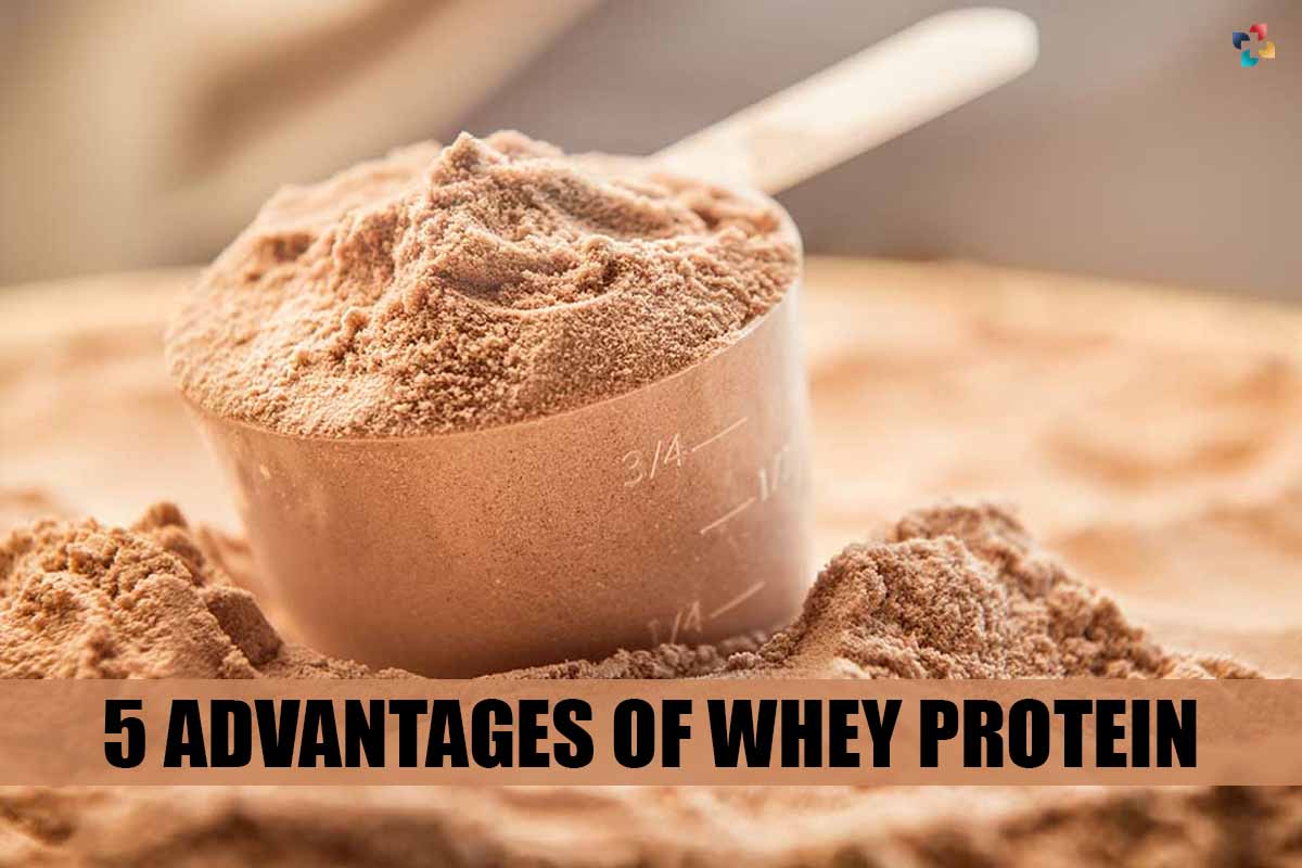 5 Quick Advantage of Whey Protein | The Lifesciences Magazine