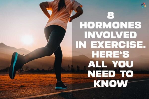 best-8-hormones-involved-in-exercise-here-s-all-you-need-to-know-the