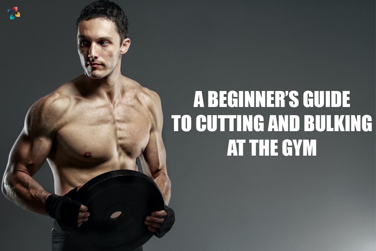 A Best Beginner's Guide to Cutting and Bulking at the Gym 2023 | The Lifesciences Magazine