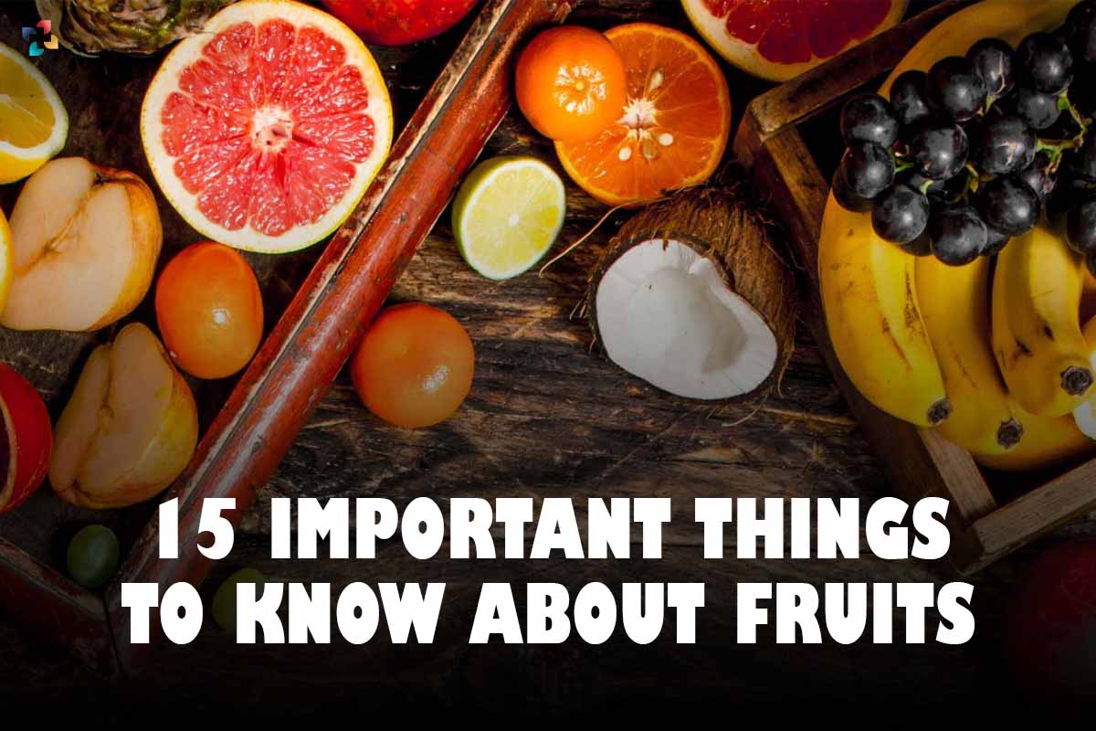15 Important Things to Know About Fruits | The Lifesciences Magazine