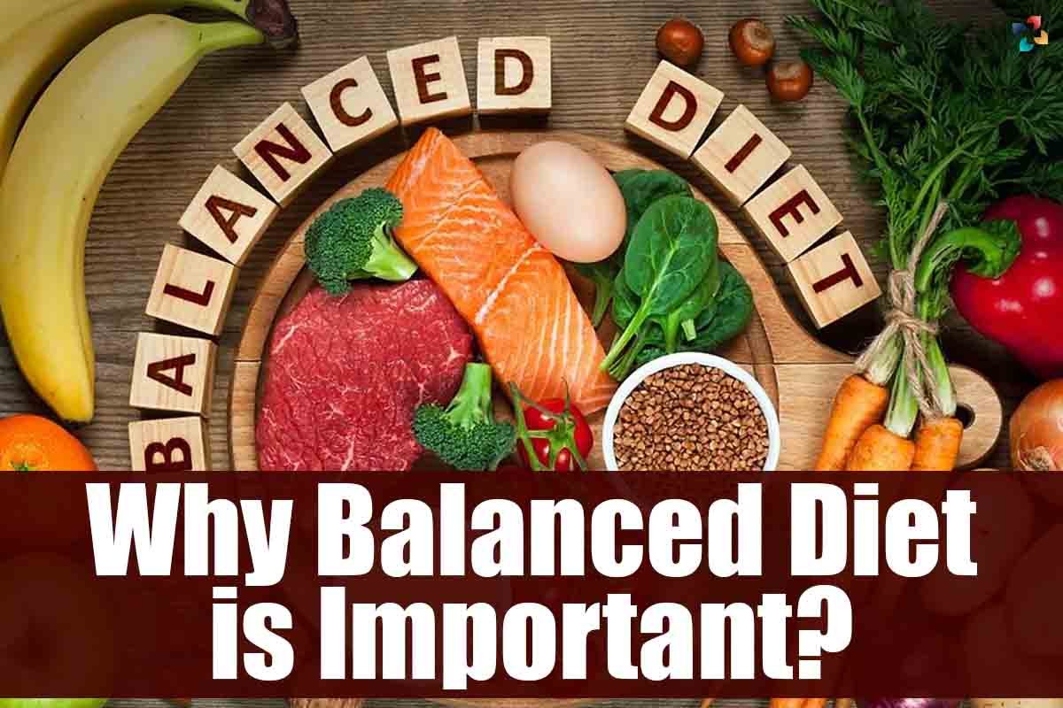 10 Importance Of A Balanced Diet The Lifesciences Magazine