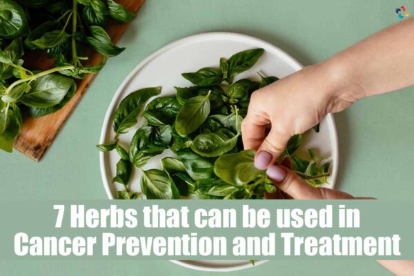 Top 7 Best Herbs Used In Cancer Prevention And Treatment The Lifesciences Magazine 7205