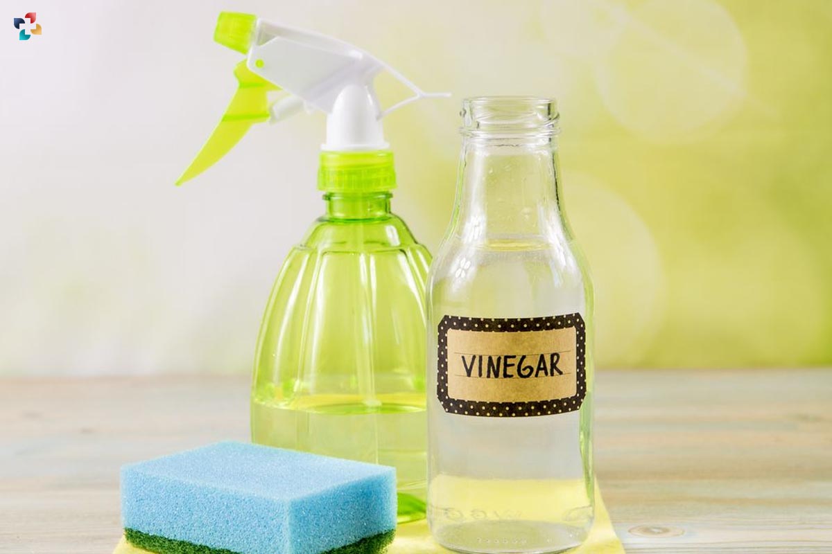 Best Home Hygiene Tips: 6 Must-Have Products to Keep Your House Clean | The Lifesciences Magazine