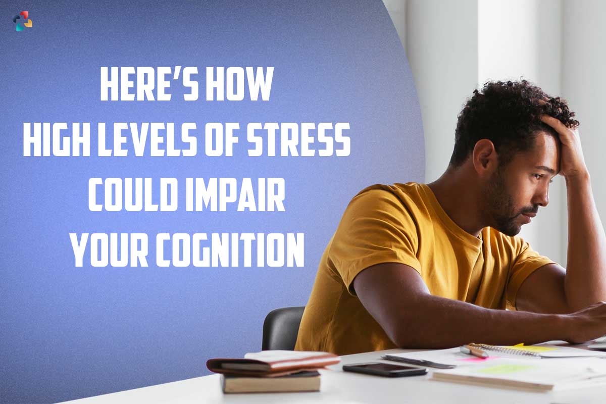 Here’s How High Levels of Perceived Stress Could Impair Your Cognition 2023 | The Lifesciences Magazine