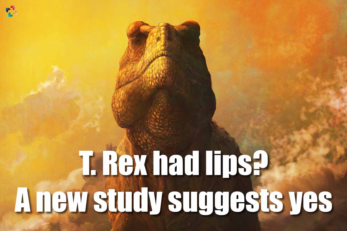 T. Rex had lips? A new study suggests yes | The Lifesciences Magazine