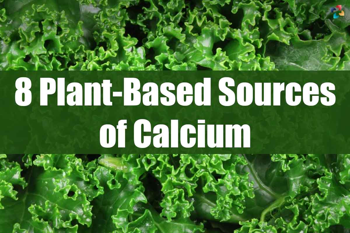 Plant-Based Sources of Calcium: Best 8 | The Lifesciences Magazine