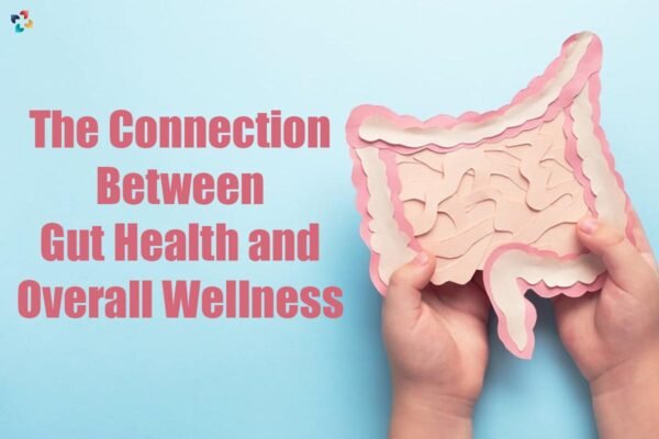 The Importance Of Maintaining Gut Health And Overall Wellness| 4 Useful ...