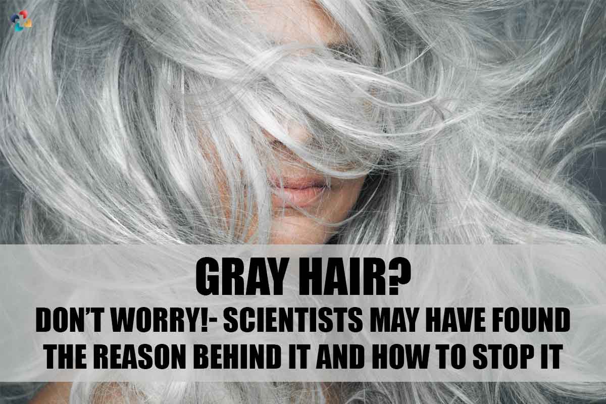 Gray Hair? Don’t Worry!- Scientists May Have Found the Reason Behind it and How to Stop it | The Lifesciences Magazine