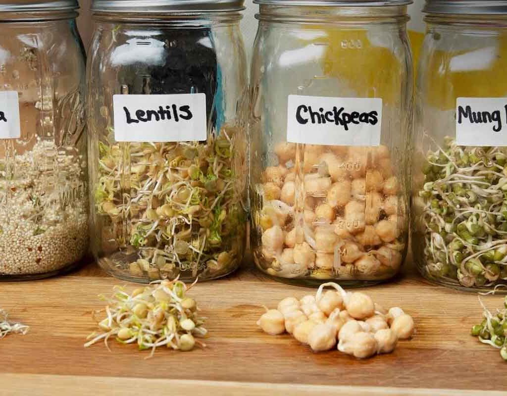 8 Healthy Benefits of Soaking And Sprouting | The Lifesciences Magazine