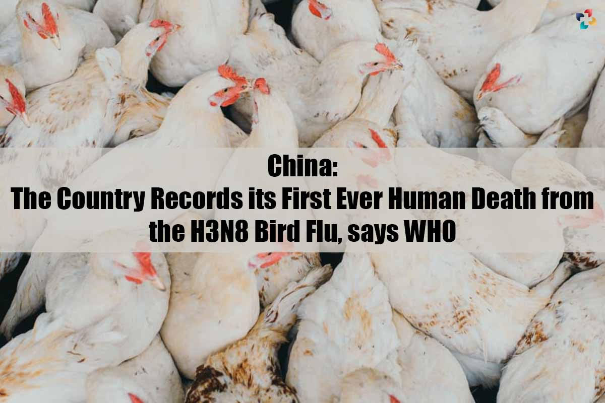 China: The Country Records its First Ever Human Death from the H3N8 Bird Flu, says WHO | The Lifesciences Magazine