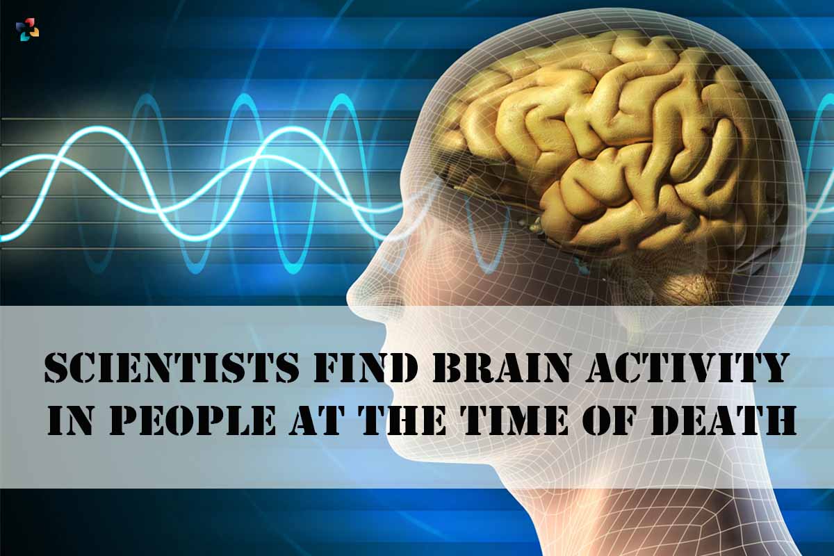 Scientists Find Brain Activity in People at the Time of Death | The Lifesciences Magazine