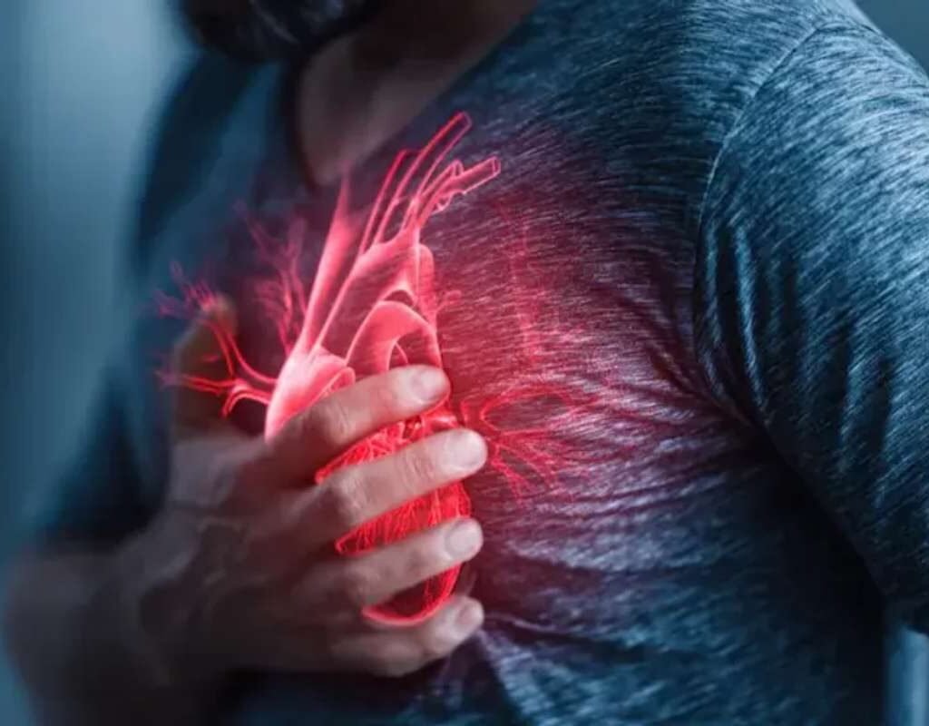 Heart-Healthy Diet: Best Foods for Long-Term Heart Health | The Lifesciences Magazine