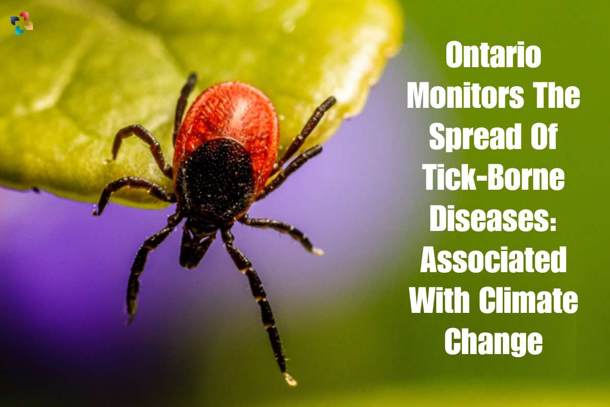 Ontario Monitors The Spread Of Tick-Borne Diseases, Associated With Climate Change | The Lifesciences Magazine