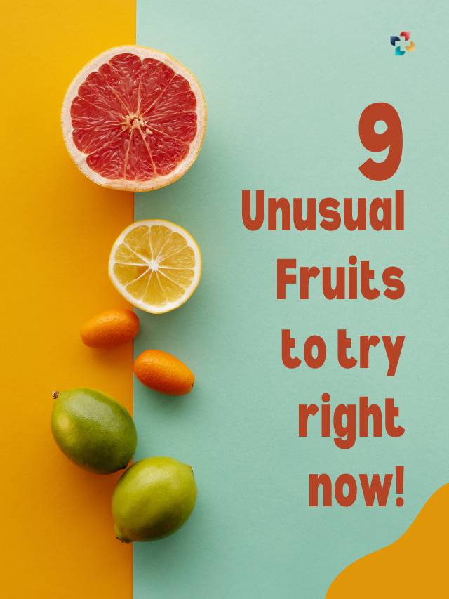 5 Unusual Fruits a Try This Year | The Lifesciences Magazine
