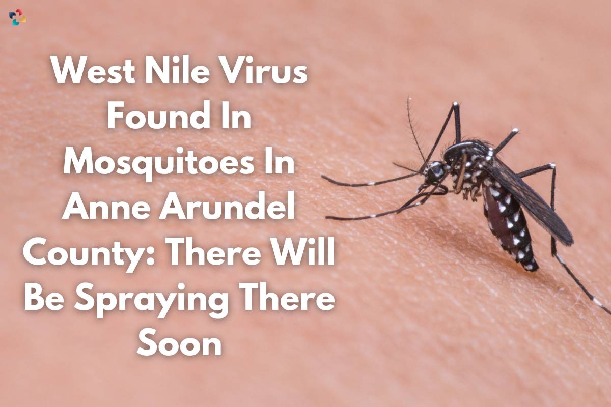 West Nile Virus Found In Mosquitoes In Anne Arundel County | The Lifesciences Magazine