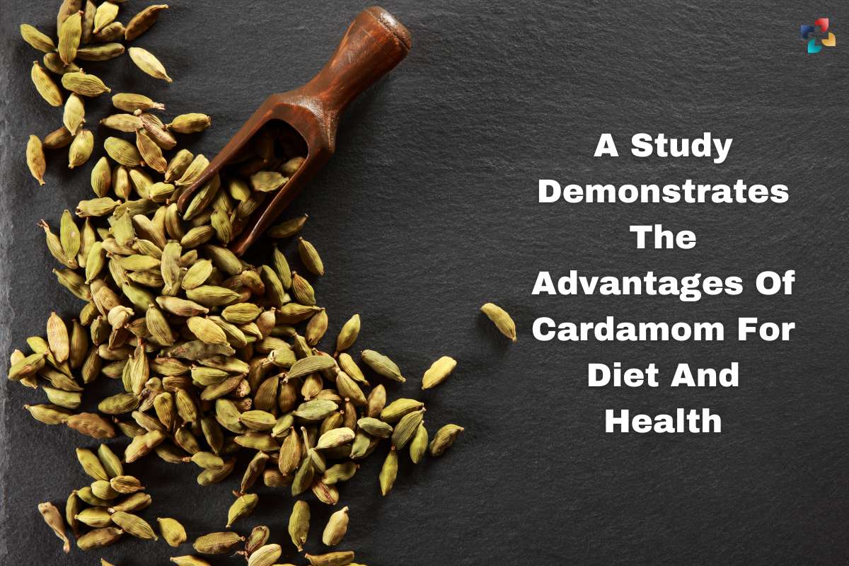 A Study Demonstrates The Best Advantages Of Cardamom For Diet And Health | The Lifesciences Magazine
