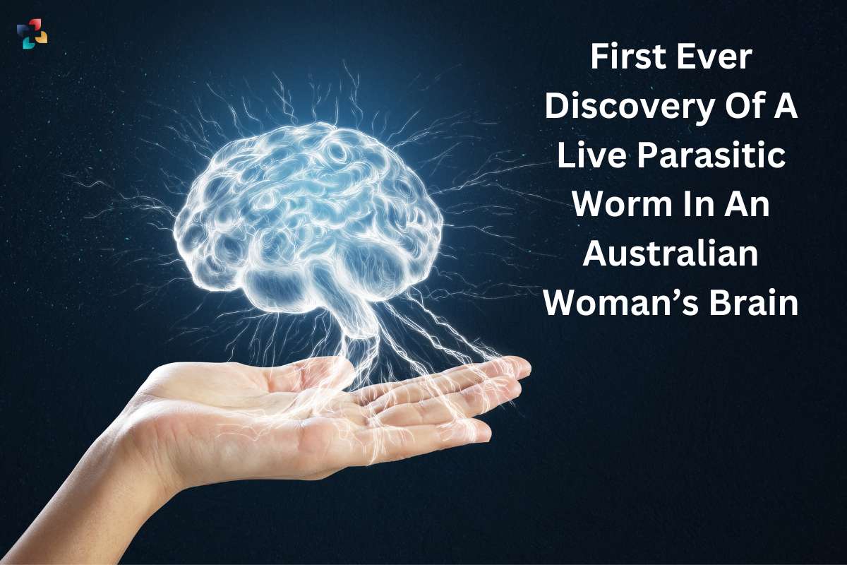 First Ever Discovery Of A Live Roundworm In An Australian Woman's Brain | The Lifesciences Magazine