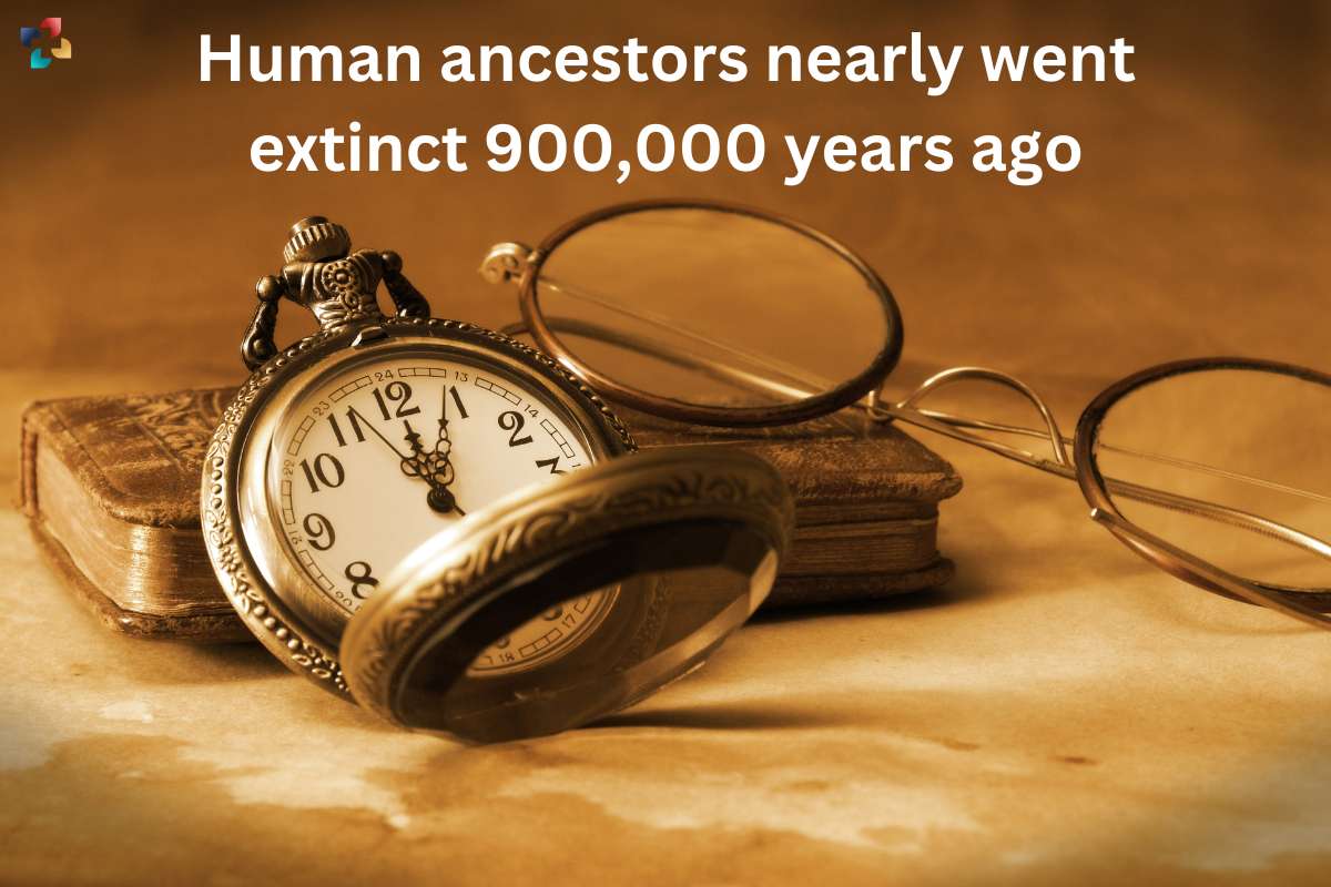 Human ancestors nearly went extinct 900,000 years ago | The Lifesciences Magazine