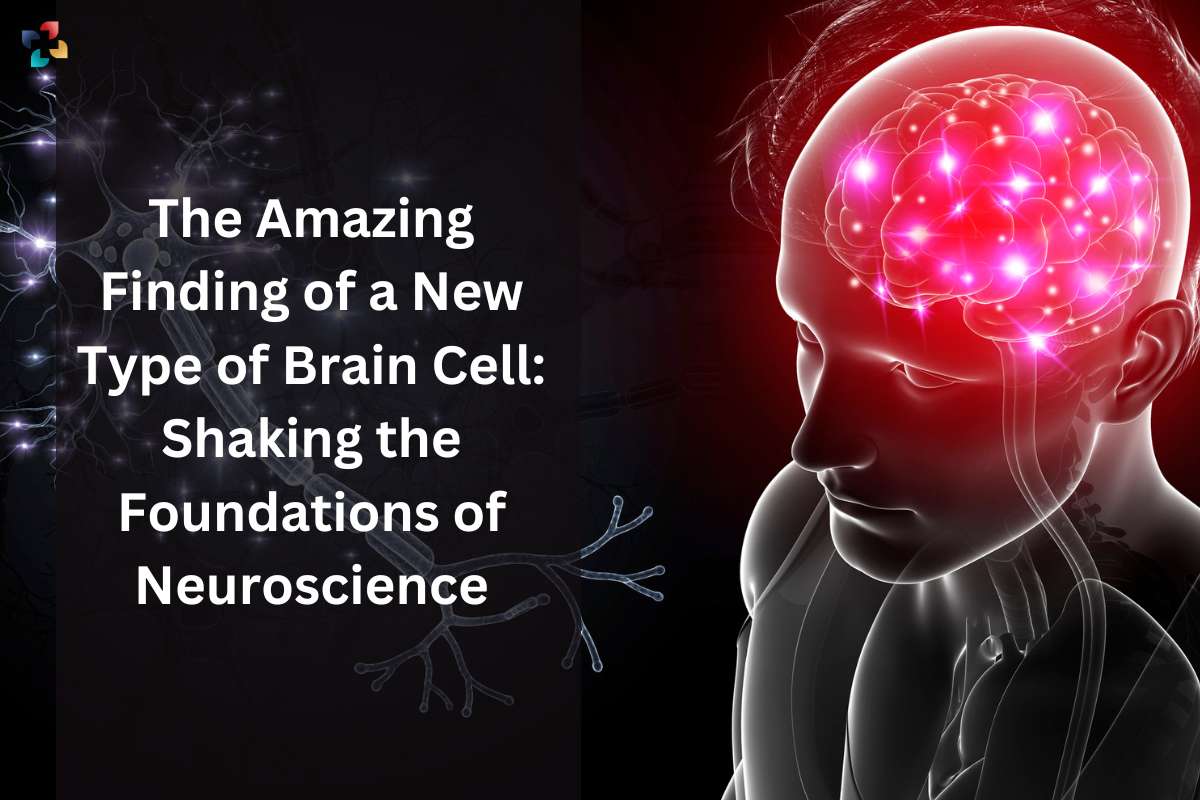 The Amazing Finding of a New Type of Brain Cell: Shaking the Foundations of Neuroscience | The Lifesciences Magazine