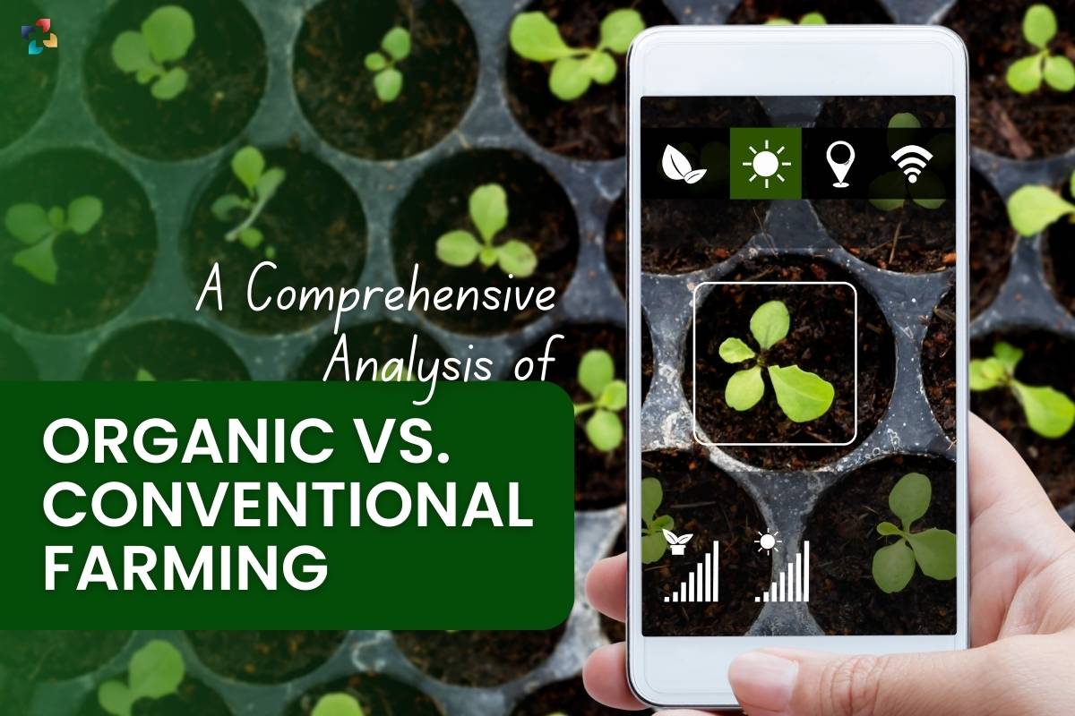 A Comprehensive Analysis of Organic vs. Conventional Farming | The Lifesciences Magazine