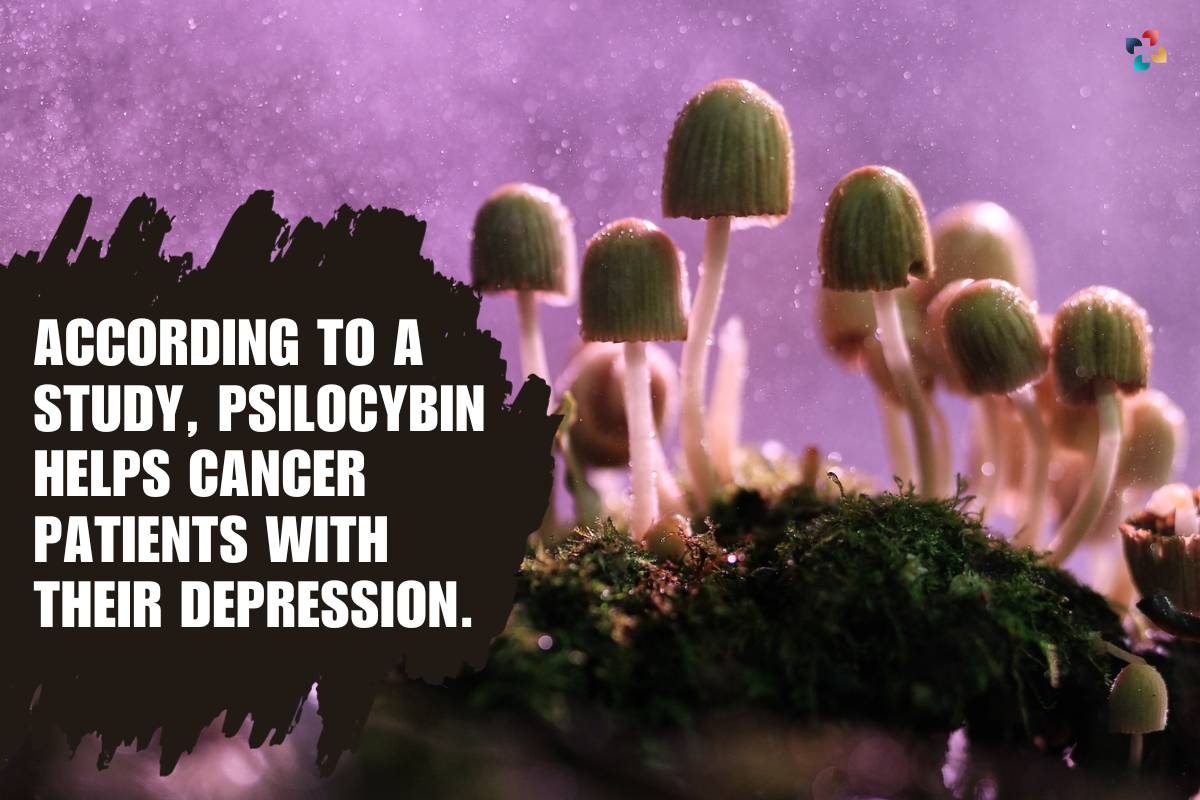 According To A Study, Psilocybin Helps Cancer Patients With Their Depression | The Lifesciences Magazine