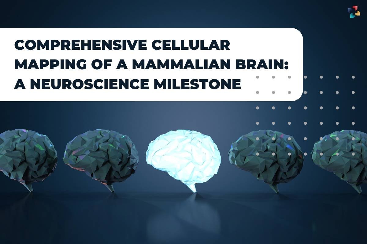 Comprehensive Cellular Mapping of a Mammalian Brain: A Neuroscience Milestone | The Lifesciences Magazine