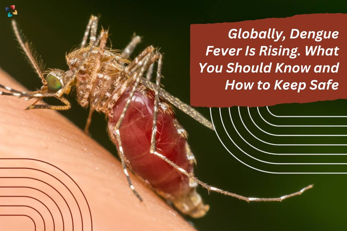 Globally, Dengue Fever Is Rising. What You Should Know and How to Keep Safe | The Lifesciences Magazine