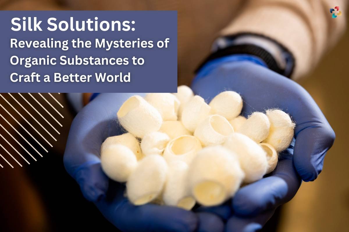 Silk-based Technology: Revealing the Mysteries of Organic Substances to Craft a Better World | The Lifesciences Magazine