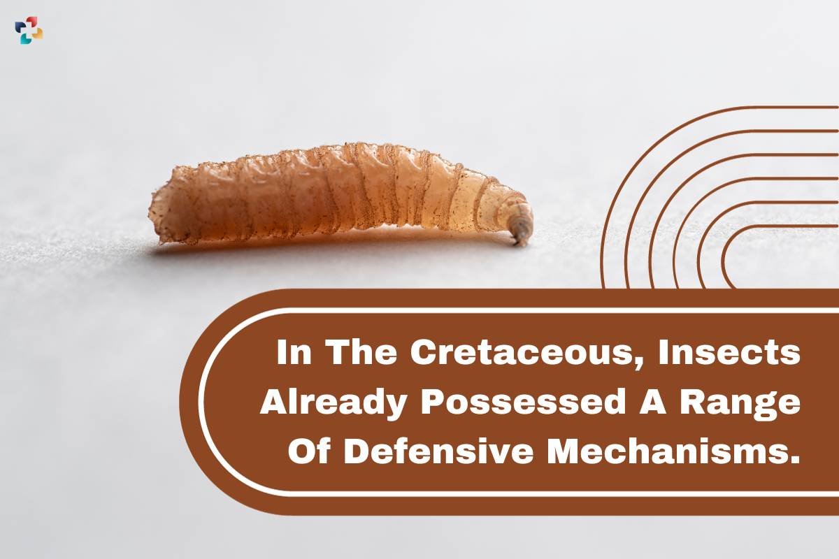 In The Cretaceous, Insects Already Possessed A Range Of Defense Mechanisms | The Lifesciences Magazine