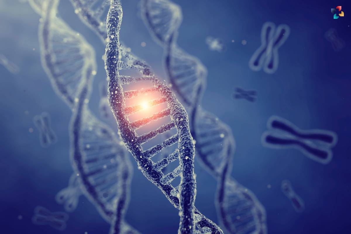 Single-Gene Disorders: Understanding Genetics With Examples | The Lifesciences Magazine