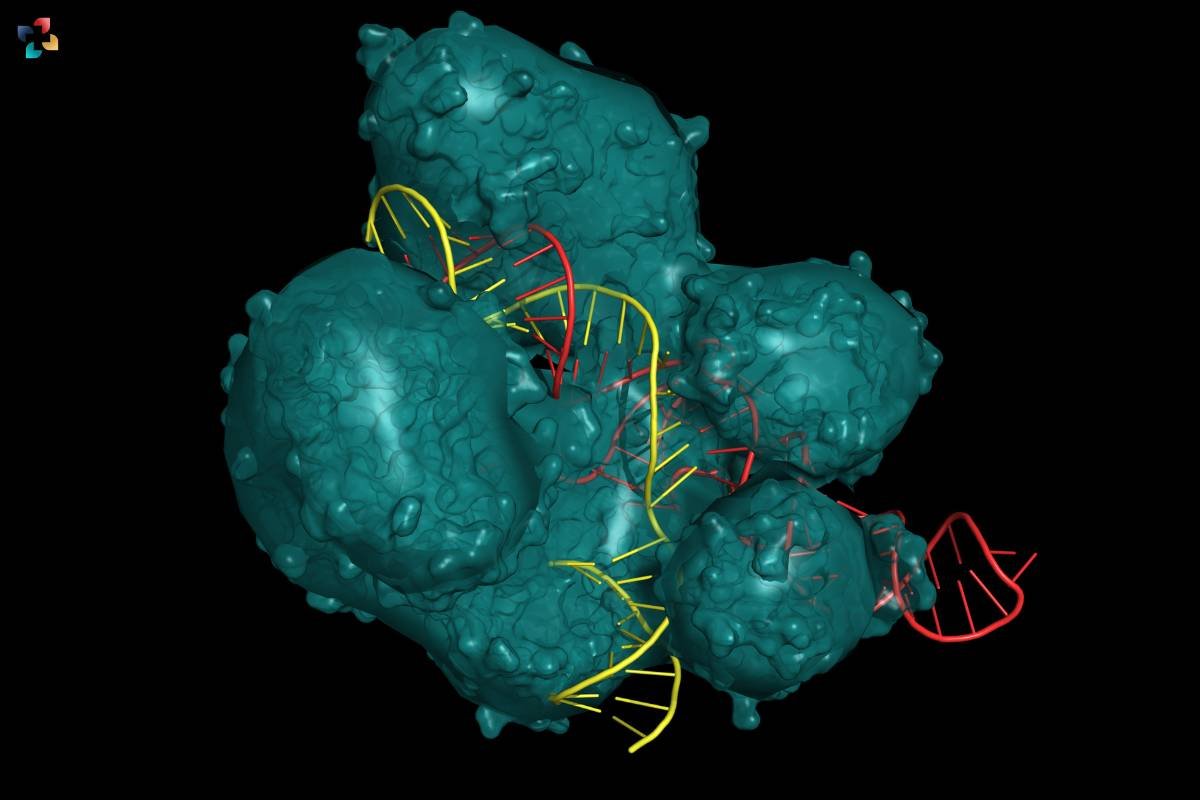 Understanding CRISPR Genome Editing in Details | The Lifesciences Magazine