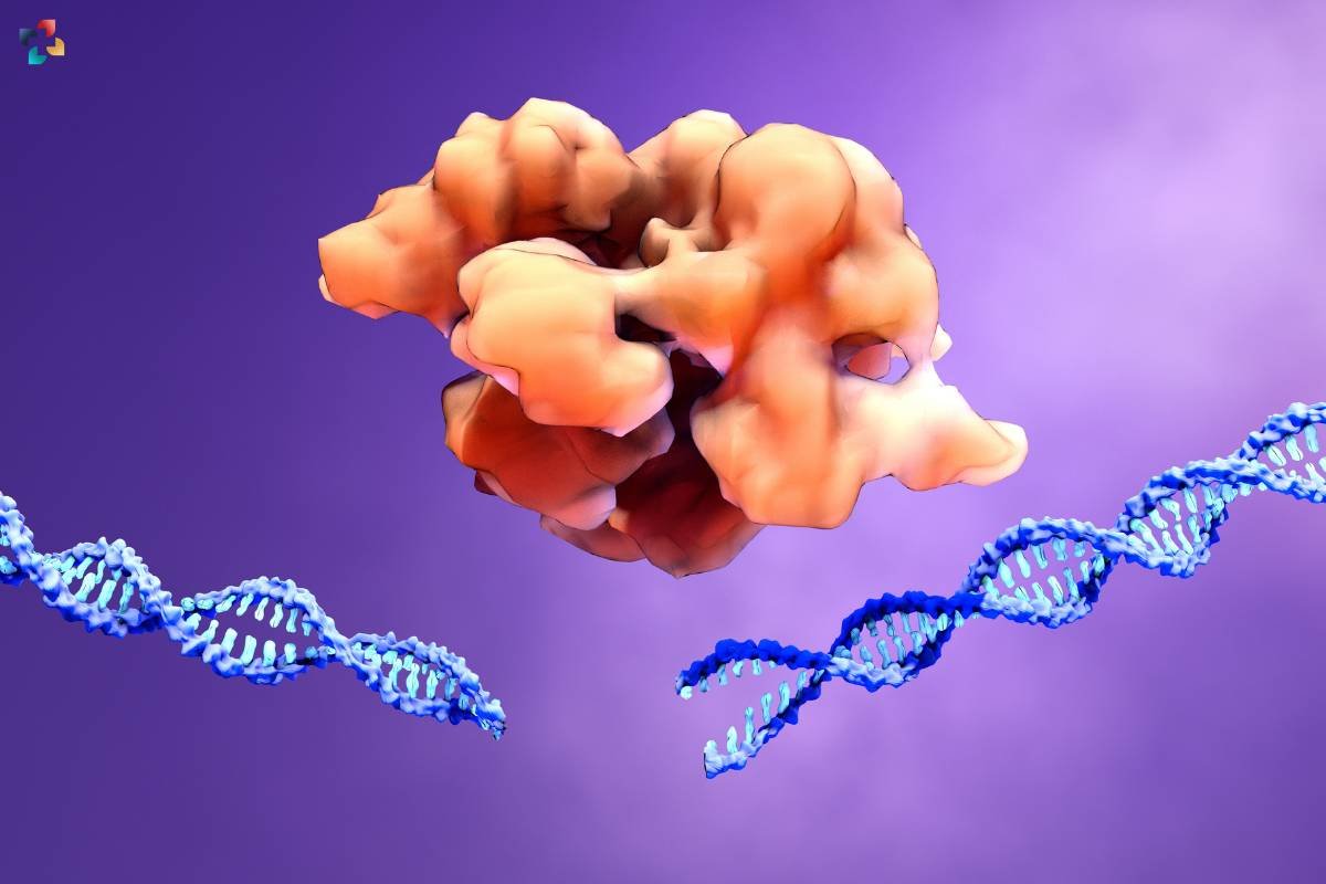 Understanding CRISPR Genome Editing in Details | The Lifesciences Magazine