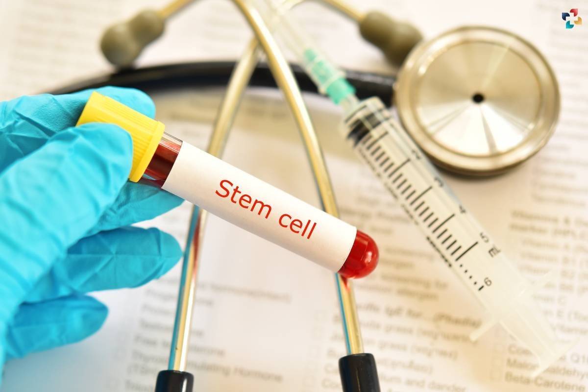 What is Stem Cell Technology? Overview, Applications & More | The Lifesciences Magazine