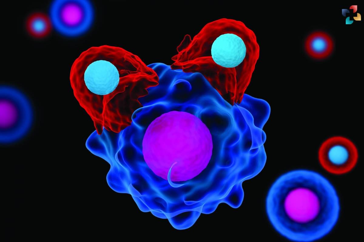 CAR T Cell Therapy For Cancer Treatment: Challenges, Advancements and Success Stories | The Lifesciences Magazine