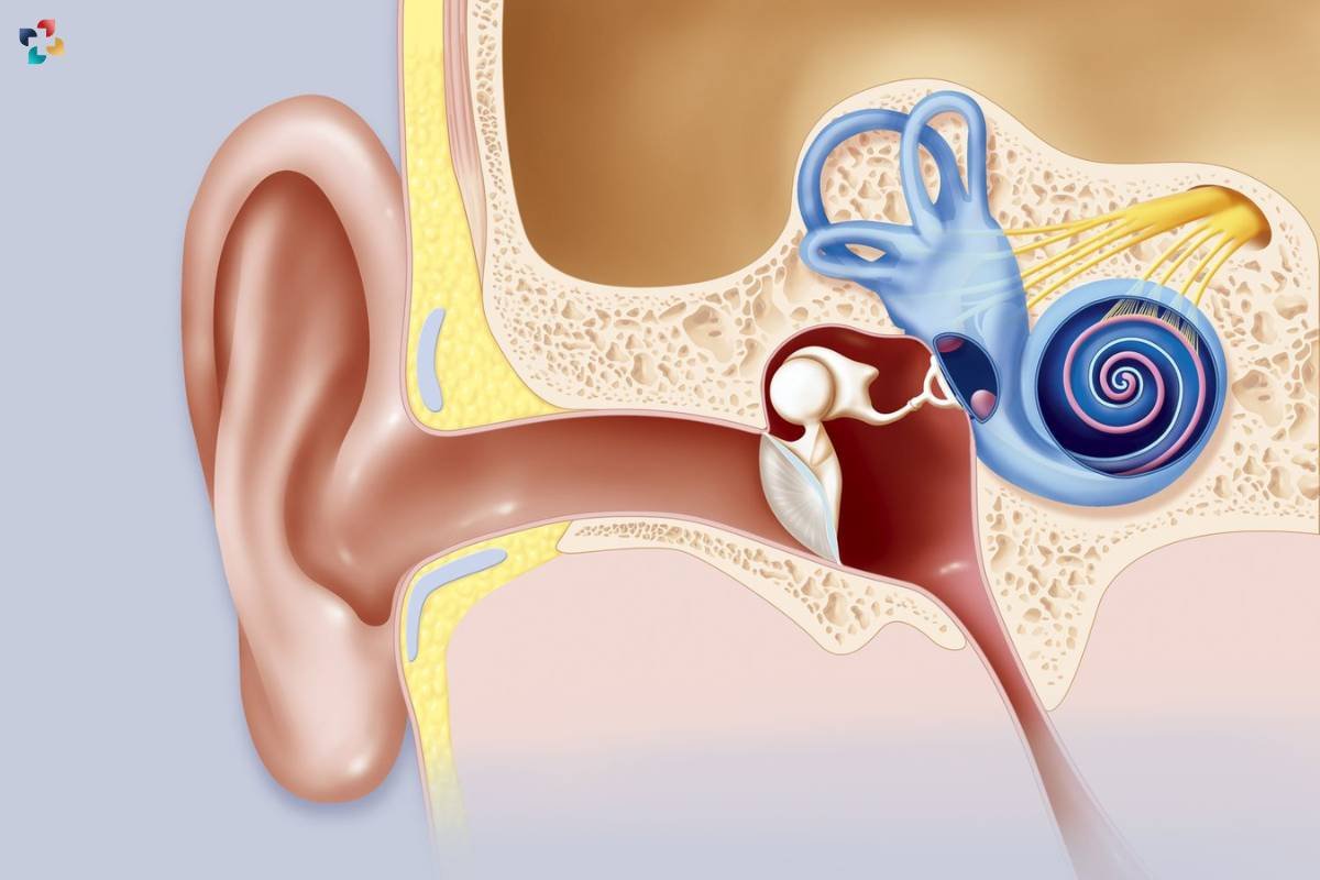 Acoustic Neuroma: Symptoms, Diagnosis, and Treatment Pathways | The Lifesciences Magazine