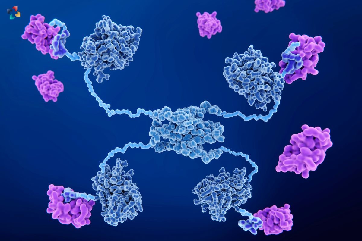 Introduction to Cellular Signaling: Types, Process, and Functions | The Lifesciences Magazine