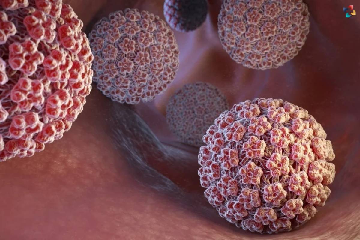What is Human Papillomavirus (HPV)? Infections and Prevention | The Lifesciences Magazine