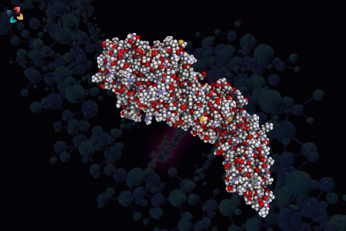 Single Nucleotide Polymorphism (SNP) An Overview| The Lifesciences Magazine