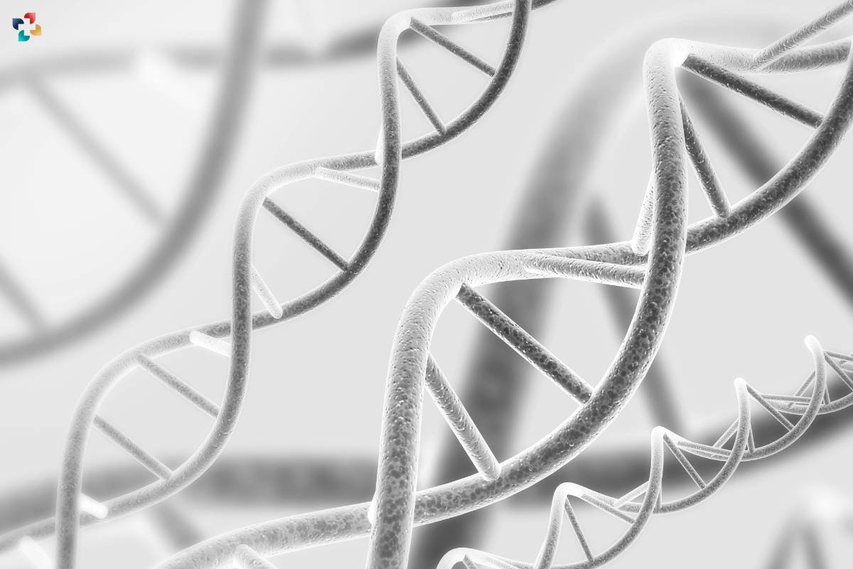 Degenerate Transposable Elements Have Been Found In Human DNA | The Lifesciences Magazine