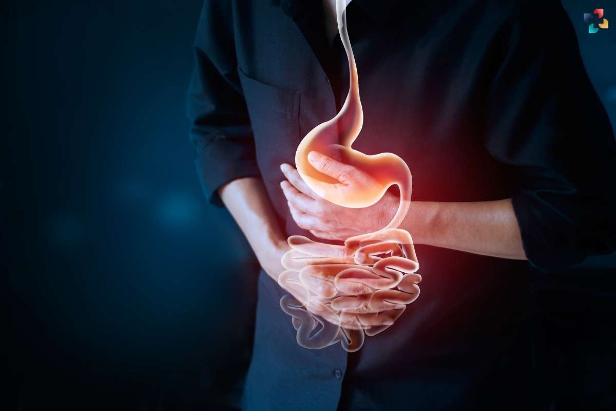 Gastrointestinal Diseases: Causes, Symptoms, and Treatment Options | The Lifesciences Magazine