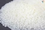 Polymorph Sun Polymorphs: Detail Exploration | The Lifesciences Magazine