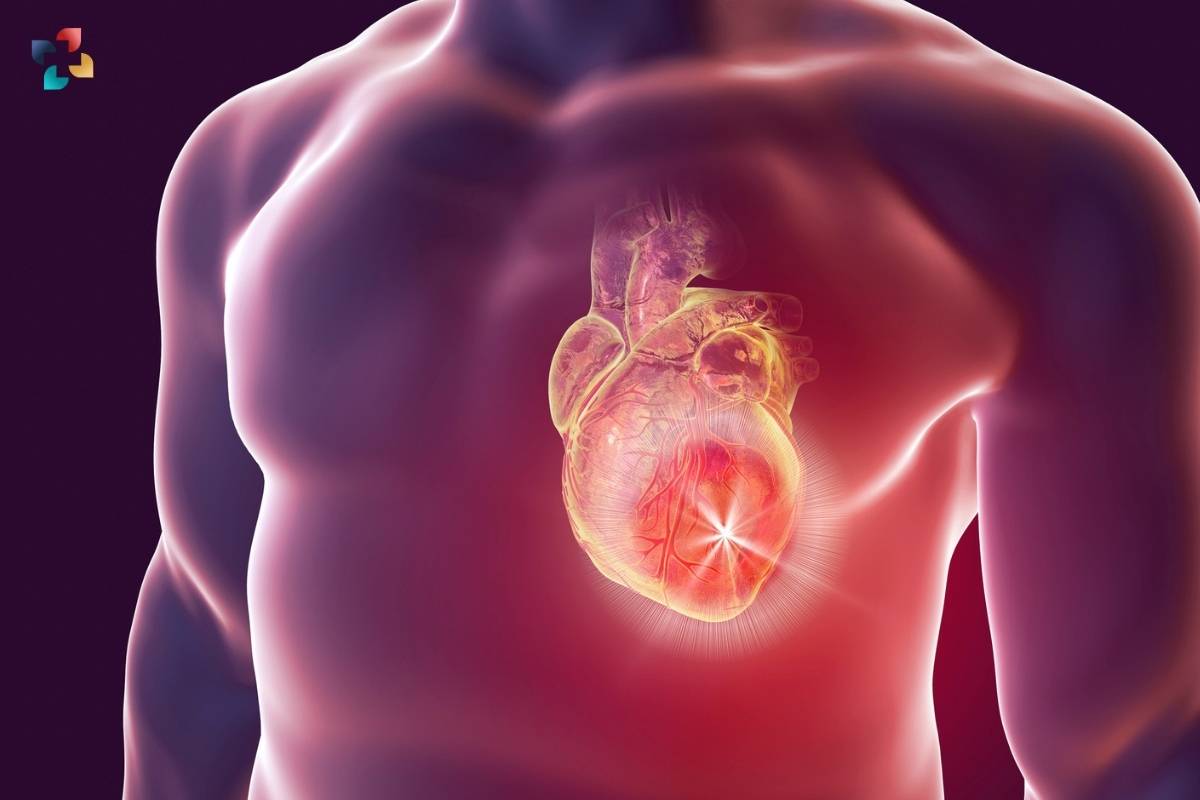 Heart Development Unveiled: New Study Reveals Comprehensive Atlas of Cardiac Cell Types | The Lifesciences Magazine