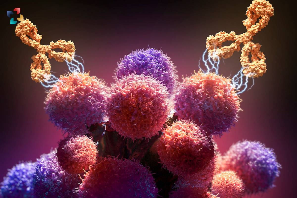 Unraveling the Potential of Antibody Therapy: A Comprehensive Guide | The Lifesciences Magazine