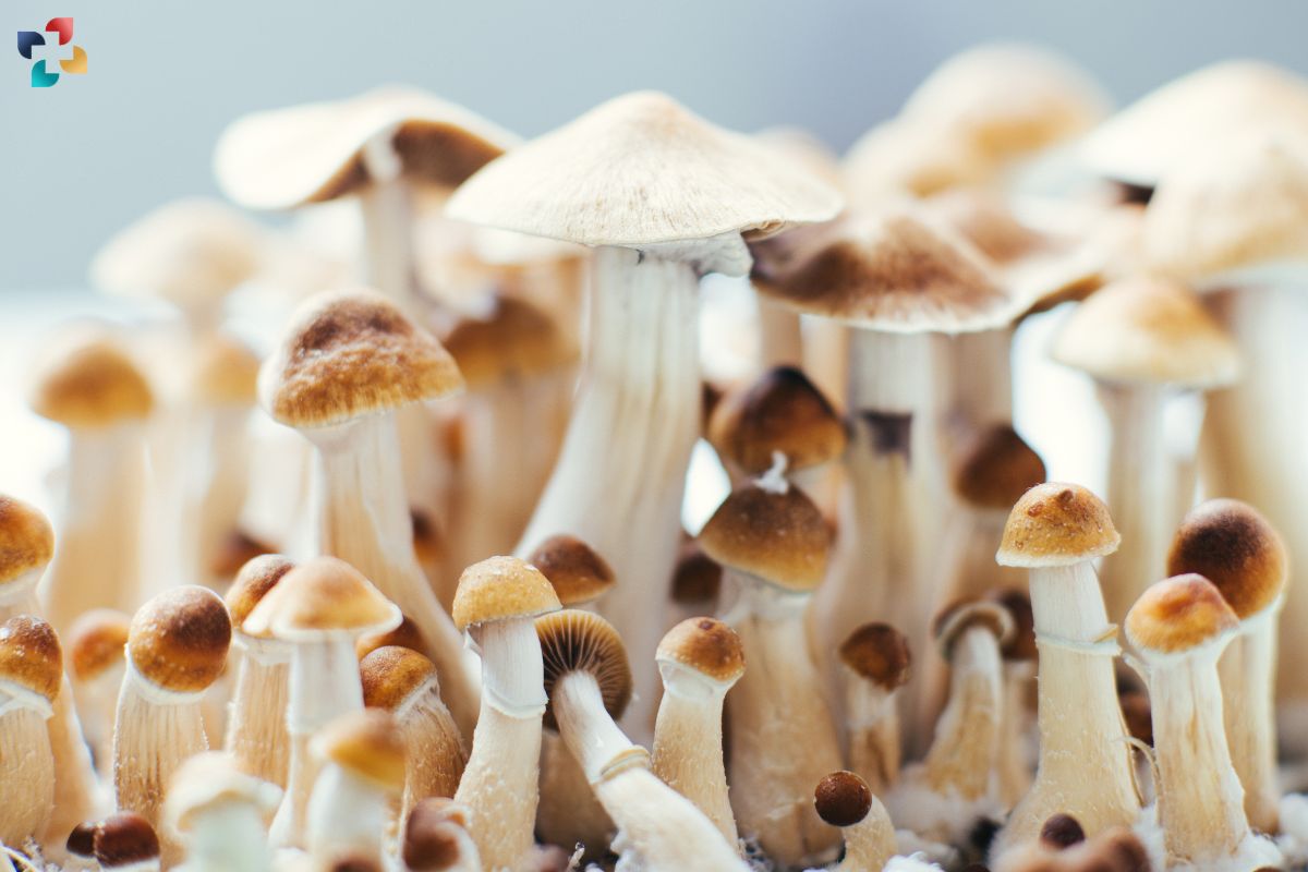 Unveiling the Effects of Magic Mushrooms: A Comprehensive Guide | The Lifesciences Magazine