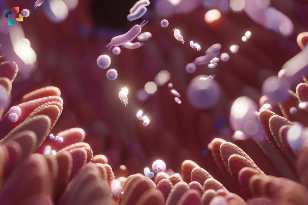 Gut Microbiome Test: Understanding Your Body's Inner Ecosystem | The Lifesciences Magazine