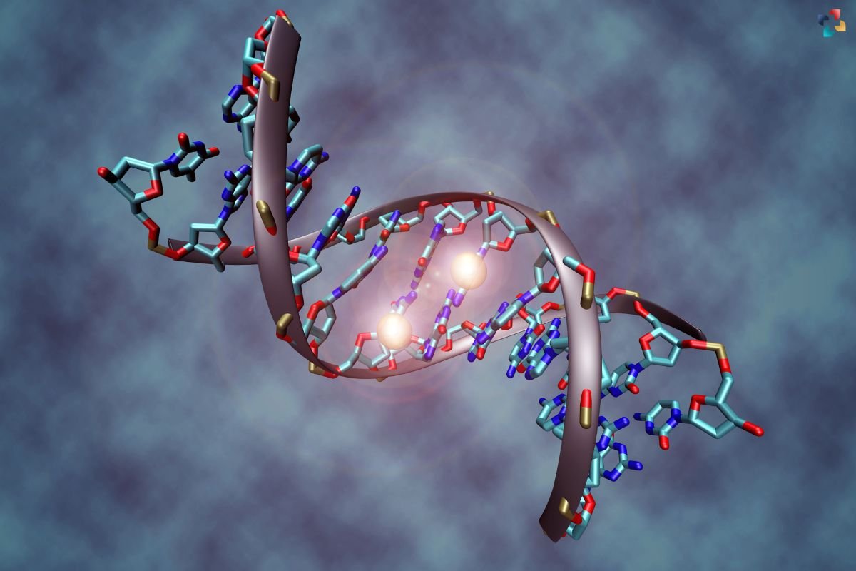 What is Epigenetic Changes? Understanding Their Role in Health and Disease | The Lifesciences Magazine