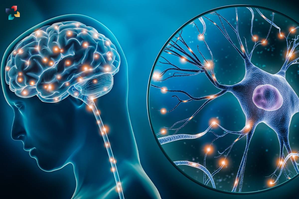 Neurodegenerative Conditions: Causes, Symptoms, and Treatment Options | The Lifesciences Magazine